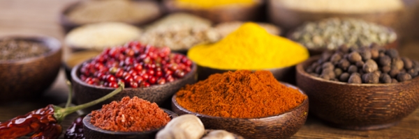 Sardo & Quaglia s.n.c. oggi